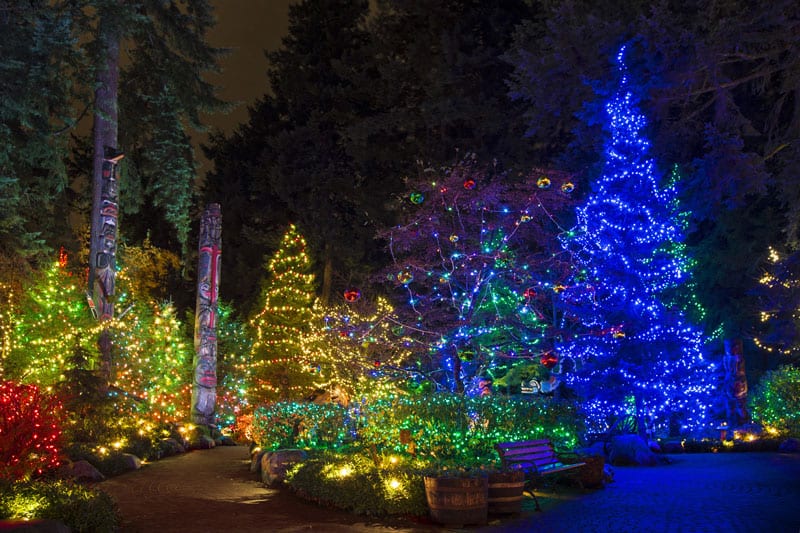 canyon lights at the capilano suspension bridge park north canyon lights at the capilano suspension bridge park north