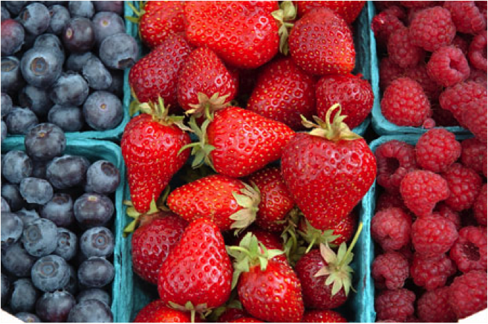 Grand Opening of Lonsdale Artisan Farmers Market at the Quay North vancouver