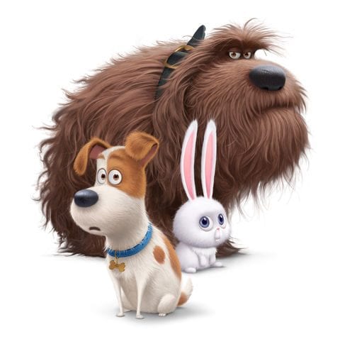 Family Movie Night at the Civic Plaza North Vancouver – The Secret Life of Pets
