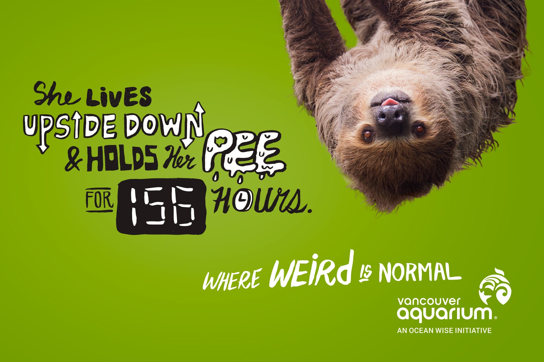 Spring Break at the Vancouver Aquarium