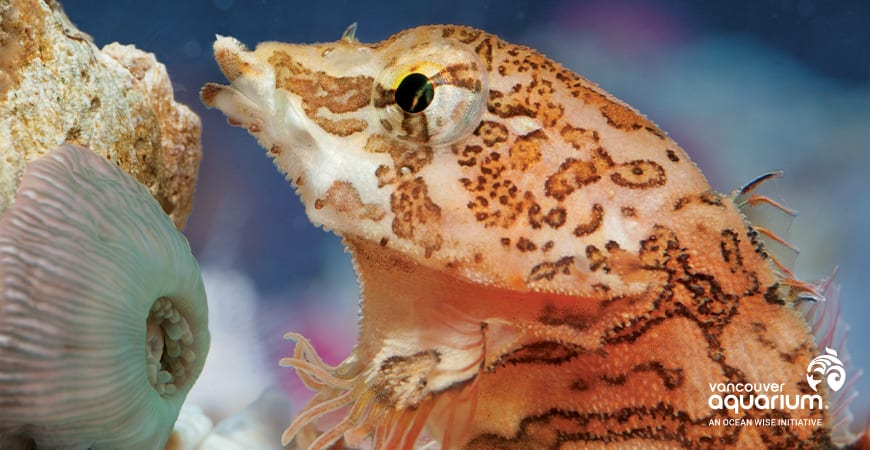 Easter at the Vancouver Aquarium