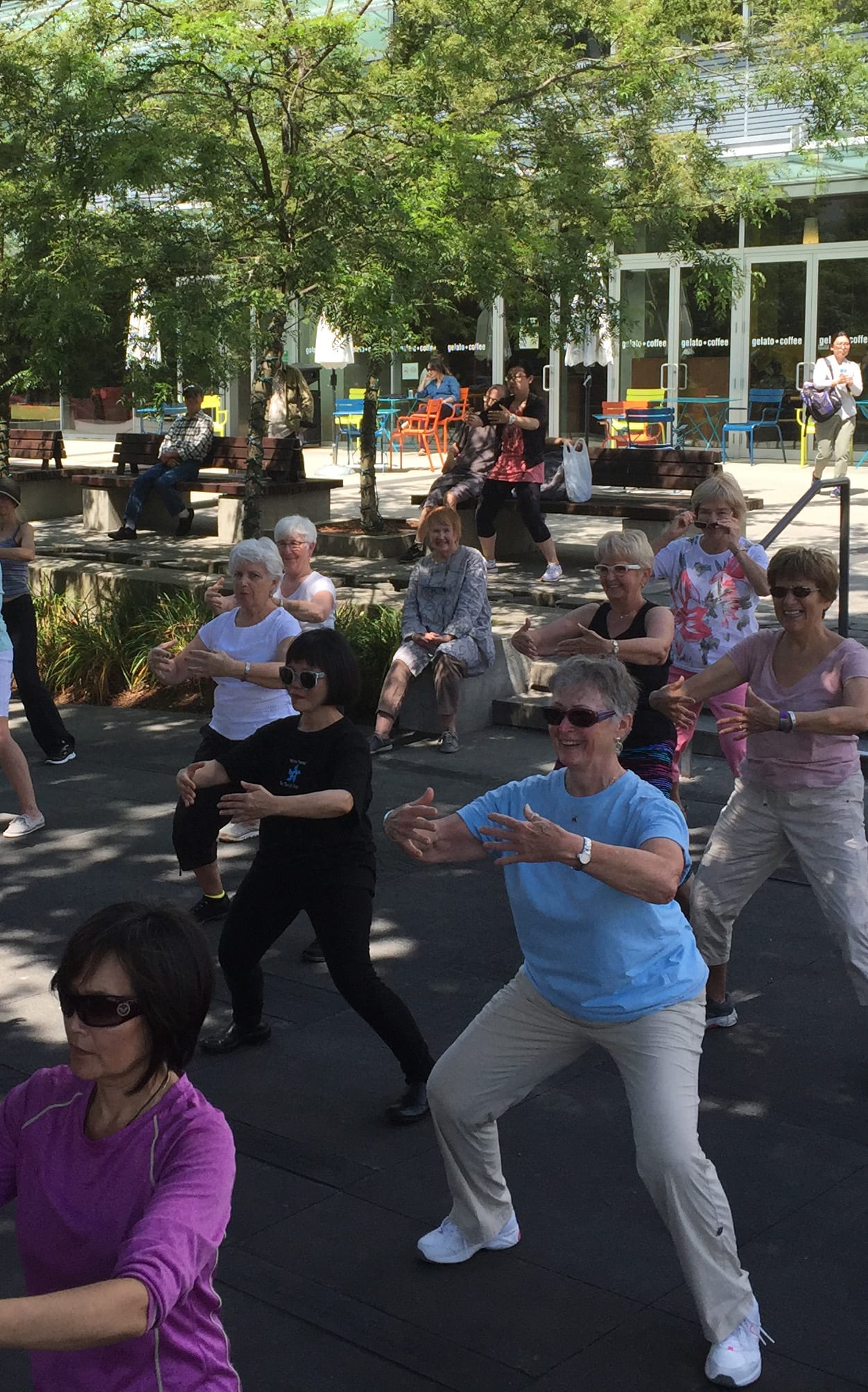 Health Qigong and Tai Chi Fusion – Free to the Public