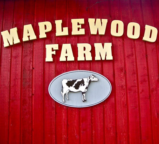Behind the Scenes at Maplewood Farm North Vancouver