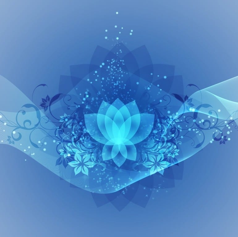 Nourishing Mind, Body, & Spirit at Cafe by Tao North Vancouver