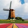 Trafalgar Tours Travel Presentation