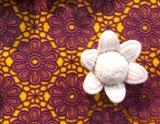 Free Lecture: Understanding Colour at CityScape Community Art Space