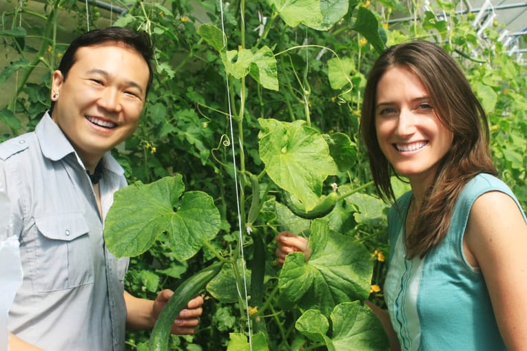 Food As Medicine Garden Walk at Loutet Farm