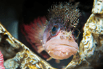 Halloween After Hours at the Vancouver Aquarium