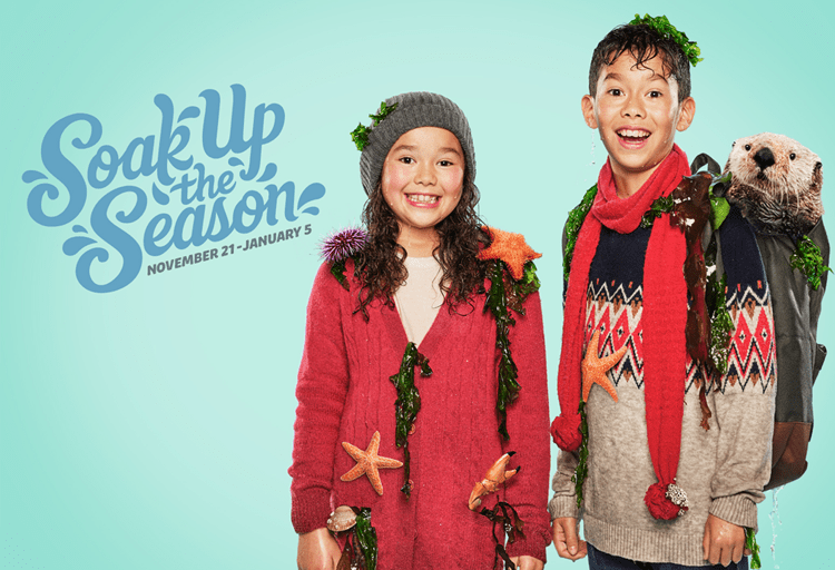 Soak up the Season at the Vancouver Aquarium
